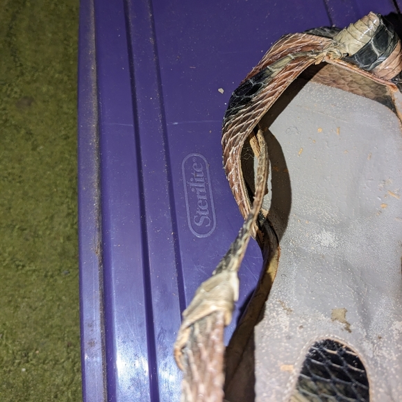 Women's Snakeskin Strap Heels by Andrew Gellar (Used) - Picture 5 of 11